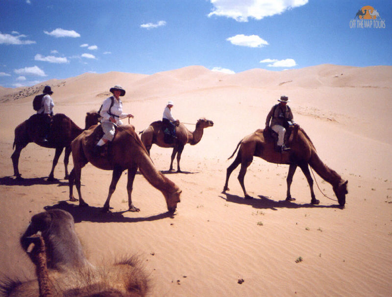 Camel Trek in Mongolia