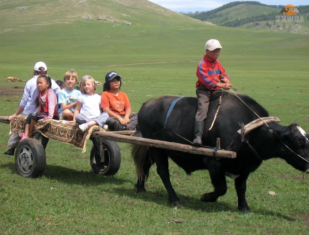 Mongolian Adventure Tour