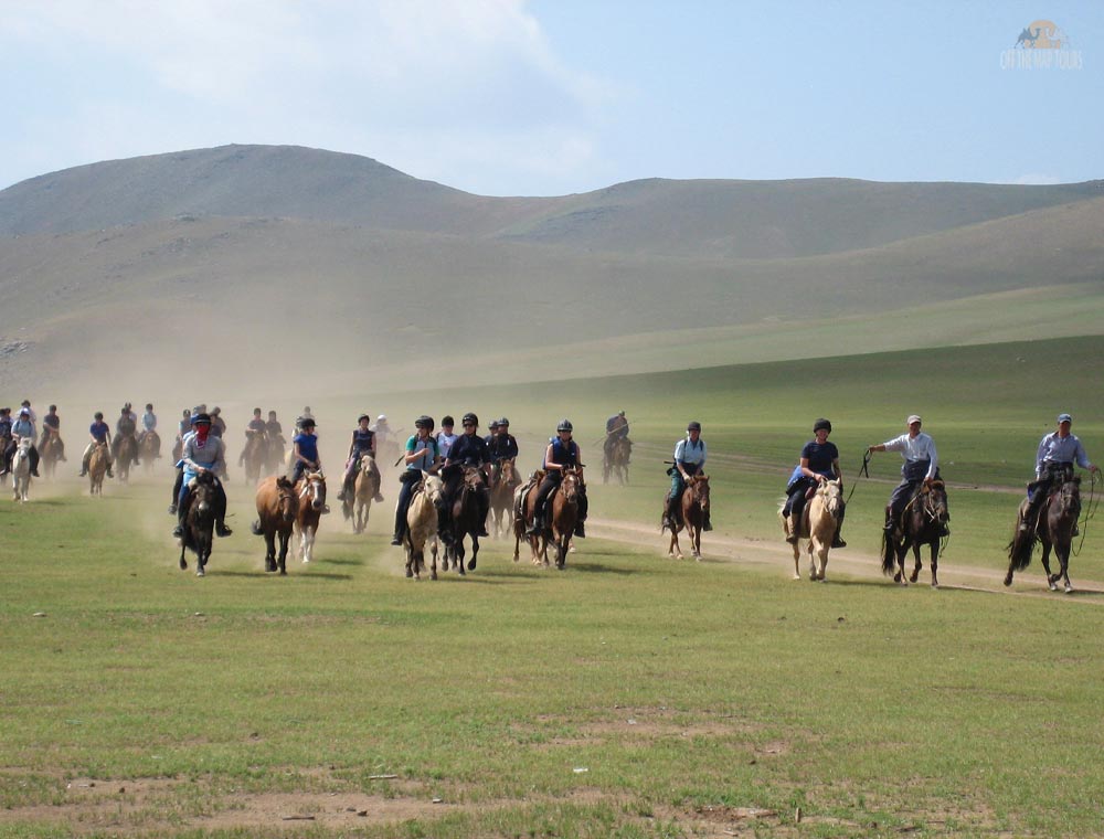 Mongolian Horse