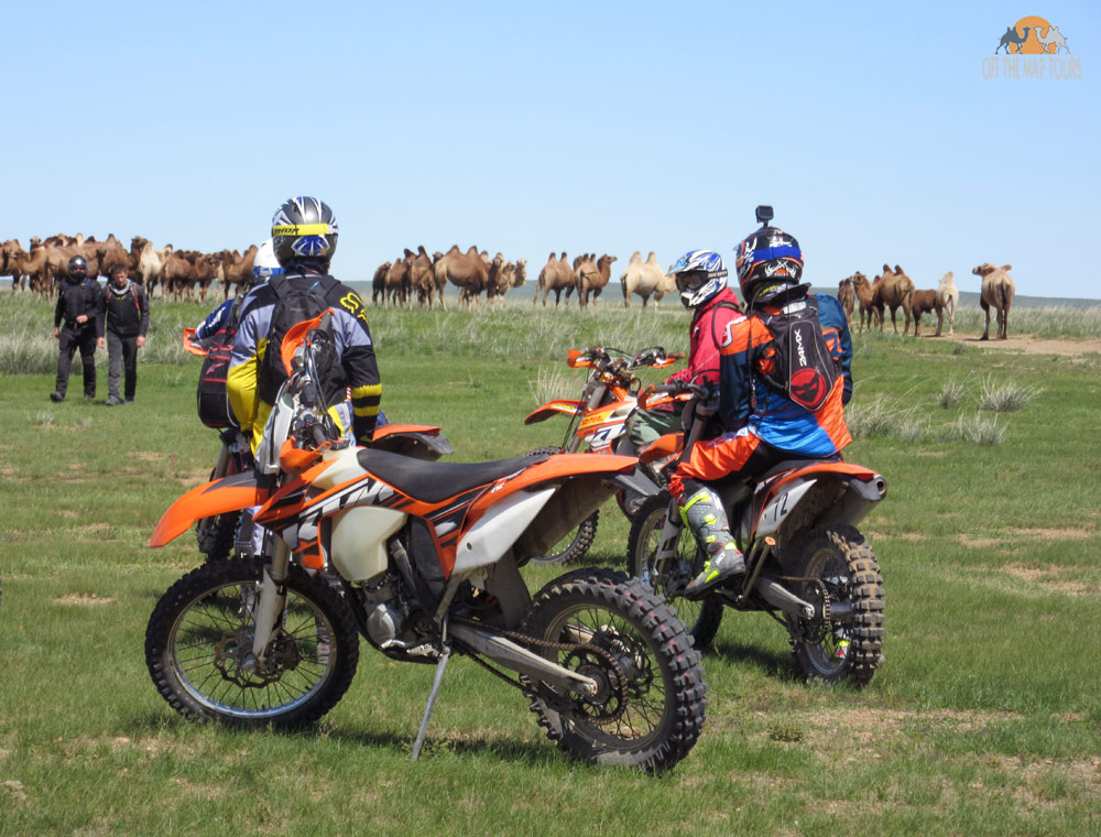 Middle Gobi Motorcycle Tour