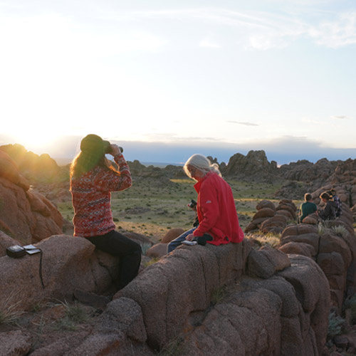 Timeline-History 2025